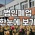 법인 폐업과 개인회생 사이, 30대 실무자의 솔직한 고민