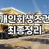 개인회생을 고민하는 당신에게: 현실적인 타협점 찾기