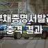 부채증명원, 정말 필요한가요? 경험자가 말하는 현실적인 발급 과정과 팁
