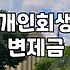 개인회생, 교과서 같은 조언 말고 현실적인 고민들