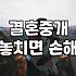 소개팅앱추천 서비스별 가입 조건과 비용 분석