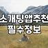 소개팅어플순위 변동성과 플랫폼 선택 시 고려해야 할 현실적인 기준