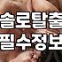 모두가 꿈꾸는 ‘반려자’, 현실에서는 이렇게 찾습니다 (솔직한 조언)