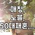 솔직한 30대 직장인의 중매결혼 경험담: 기대와 현실, 그리고 몇 가지 오해