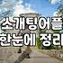 소개팅프로그램 유형별 차이점과 본인에게 맞는 선택 기준