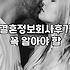 소개팅 앱과 결혼정보업체 사이에서 고민될 때 확인해야 할 현실적인 차이