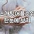 직장인소개팅어플 비용 구조와 매칭 성공률의 실제 차이