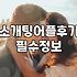 결혼정보회사와 데이팅앱 사이에서 고민하는 당신에게: 현실적인 조언