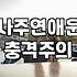 30대의 현실 연애 갈등, 유료 상담과 사주가 과연 답을 줄까