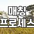 결혼 시장의 숨은 실력자 중매인의 역할과 현실적인 매칭 기준