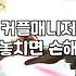 결혼정보회사순위가 실제로 반영하는 회원 구성과 가입 조건