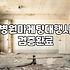 병원체험단 진행 전 반드시 따져봐야 할 현실적인 기준