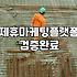 CPAAD 활용 방식과 성과 지표별 실제 수익 구조