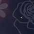 사주풀이와 보도자료의 관계, 그리고 예측의 힘 ✨