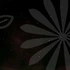 스케일링보험으로 치아보험가입 전략을 한눈에 확인.