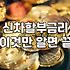 요즘 신차 할부 금리 10%대 체감과 현실적인 고민