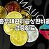 주택담보대출한도를 결정하는 DSR 규제와 실제 산정 방식