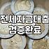 전세금 돌려주려다 마주한 대출 이자 현실