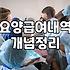 건강보험 적용 범위와 실손보험 사이에서 현명하게 판단하는 법