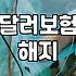 달러보험, 과연 환차익만 보고 가입하는 게 맞을까?