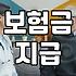 보험금 청구 시 반드시 알아야 할 지급 조건과 기간