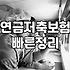 저축성보험 가입 시 비과세 혜택과 중도해지 위험성 판단 기준