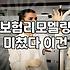 흩어진 내 보험 조회하고 효율적으로 관리하는 현실적인 방법