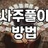 운세를 확인하며 하루를 시작하는 법과 주의할 점