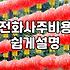 직접 경험해 본 전화 운세 상담의 현실적인 흐름과 주의점
