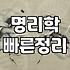 인터넷사주 결과를 맹신하지 않고 제대로 활용하는 법