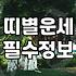 내일운세 확인하는 시간대와 결과를 해석하는 기준
