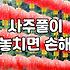 갑자기 사주 보러 갔다가 묘한 기분으로 돌아왔다