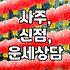 사주 vs 신점, 무엇을 선택해야 할까? 실제 경험담과 현실적인 조언