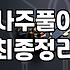 운세 결과에 휘둘리지 않고 내 삶의 방향을 잡는 법