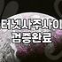 사주어플 선택할 때 반드시 확인해야 할 비용과 기능