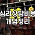 소띠운세와 심리상담 사이, 불안을 다루는 아주 현실적인 방법
