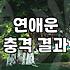 결혼운사주를 확인하고 배우자를 만나는 가장 현실적인 방법