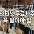 사주풀이사이트 이용 전 반드시 확인해야 할 5가지 기준