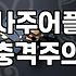새벽에 갑자기 사주 어플을 켜본 이유