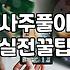 사주를 보러 다니며 깨달은 지극히 현실적인 고민들