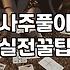 임신사주 확인 시 자녀운을 해석하는 정확한 기준