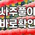 전화사주 비용 결정 요인과 실제 상담 환경 확인하기