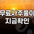 새해운세 확인 방법과 플랫폼별 비용 비교