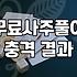 사주테스트 결과 해석 시 알아두어야 할 실질적인 한계와 데이터 원리
