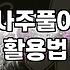 인터넷 무료 사주와 궁합 테스트를 이용할 때 알아두면 좋은 점