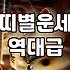 양띠운세 확인하는 방법과 연령대별 해석 차이