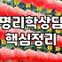 매일 확인하는 오늘의운세가 진짜 내 삶을 바꾸는지 따져보는 법
