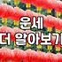 천연 원석 팔찌와 행운에 관한 소소한 생각들