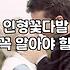 재롱잔치꽃다발 종류별 가격과 구매 시기 결정 기준