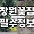 창원에서 꽃 선물할 때, 굳이 비싼 돈 쓸 필요 있을까